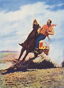 Cowboy gyors megálláshoz hozza lovát (színes fotó)