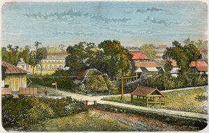 Tonga, 1885 alkotó: Canedi Barberis