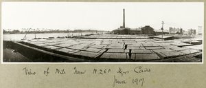 Kilátás a Nílusra N.Z.M.F.A. Központ, Kairó, 1917. június alkotó: Capt. Arthur Rhodes