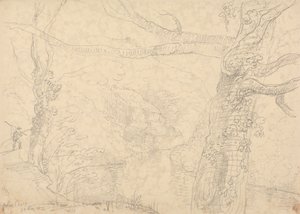 Holne Chase, 1833. május 30 alkotó: Capt. Thomas Hastings