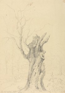 Lord Yarborough
