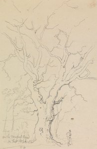 A Newport Roadon, 1826. február 12-én
