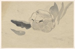 Virágtanulmány alkotó: Carel Adolph Lion Cachet