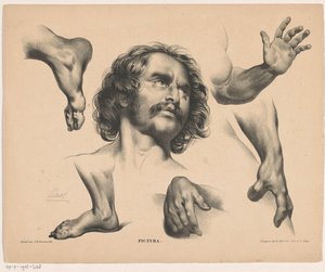 Egy férfi feje, lábak, kezek és karok Pictura (sorozat címe az objektumon) alkotó: Carel Christiaan Antony Last