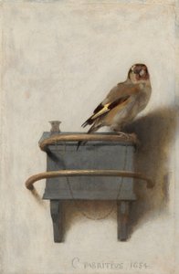 Arabul:  Az aranytorkú: The Goldfinch