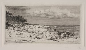 Stony Strandbred alkotó: Carl Bloch