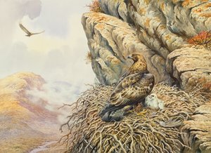 Arany sasok az Eyrie-ben alkotó: Carl Donner