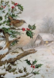 Wren Hollybushban egy házikó mellett