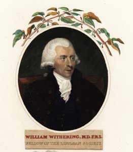 William Withering orvos és botanikus portréja alkotó: Carl Frederik van (after) Breda
