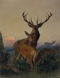 Egy szarvas szarvas erdős tájon naplementekor alkotó: Carl Friedrich Deiker