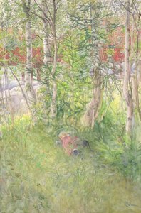 Nap a szabadban alkotó: Carl Larsson