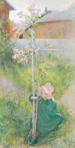 Almavirág, 1894 alkotó: Carl Larsson