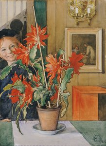 Brita kaktusza, 1904 alkotó: Carl Larsson