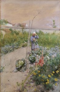 A konyhakertben alkotó: Carl Larsson