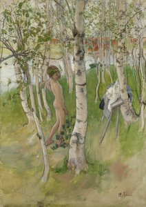 Akt fiú nyírfák között, 1898 (wc papíron)