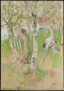 Ulf. Meztelen fiú nyírfák között alkotó: Carl Larsson