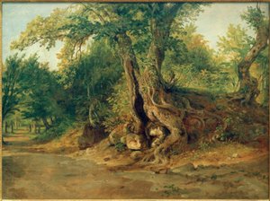 C. Morgenstern, liget Ariccia közelében méltölgyesekkel alkotó: Carl Morgenstern