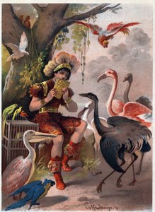 Papageno serpenyős furulyával hozza a madarakat az erdőből. Illusztráció: Carl Offterdinger (1829-1889) „Az elvarázsolt fuvola” című művében (Die Zauberflote, flauto magico, The Magic Flute). Magángyűjtemény.