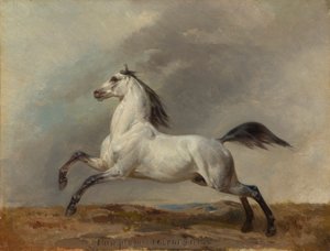 Balra szürke mén alkotó: Carl Steffeck