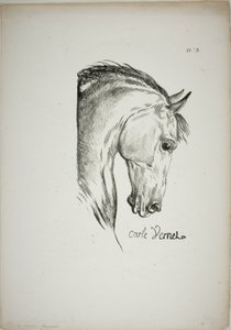 Háromszorosára nagyított lófej részlete, Normann királyi gárda, 3. sz. alkotó: Carle Vernet