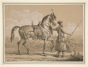 Mameluke és az arab ló alkotó: Carle Vernet