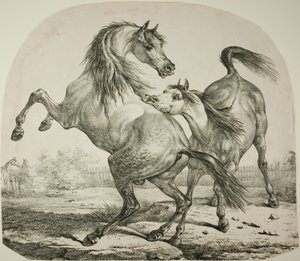 Vadlovak harca alkotó: Carle Vernet