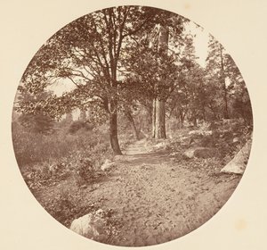 A Yosemite-völgyben kb. 1878. alkotó: Carleton Emmons Watkins