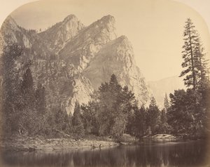 Pompomasos ugró békák, három testvér, 1861.