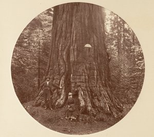 Az Empire State – C. Grove, kb. 1878. alkotó: Carleton Emmons Watkins