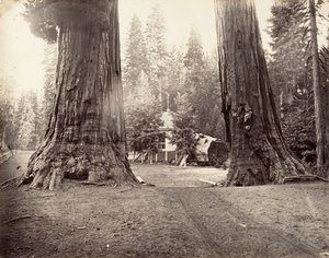 The Sentinels, 315 láb, Yosemite, kb. 1872, nyomtatott kb. 1876. alkotó: Carleton Emmons Watkins