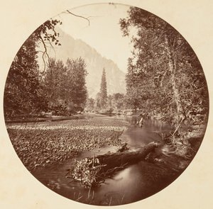 [Yosemite Nemzeti Park, Kalifornia], kb. 1878.
