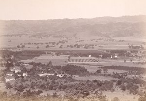[Calistoga, Kalifornia?] alkotó: Carleton Watkins