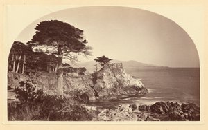 [Cypress Point a Cypress Drive felől, Monterey, Kalifornia] alkotó: Carleton Watkins