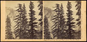 Half Dome és Vernal Fall, South Forkból alkotó: Carleton Watkins
