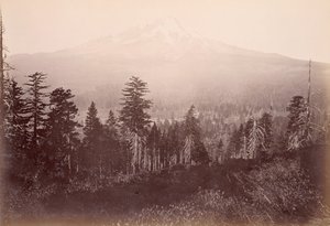 Mount Shasta alkotó: Carleton Watkins