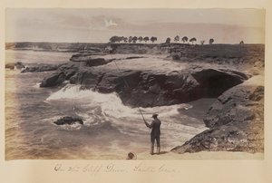 A Cliff Drive-on, Santa Cruz alkotó: Carleton Watkins