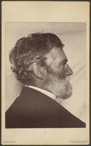 George Davidson portréja alkotó: Carleton Watkins