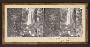 A tavaszi ősz. 300 ft. Yo Semite alkotó: Carleton Watkins