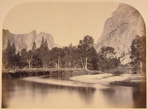 Kilátás Camp Grove-ból lefelé a völgybe - Yo Semite alkotó: Carleton Watkins