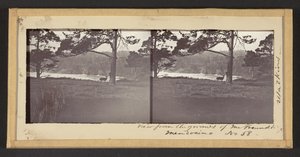 Kilátás Freundt úr kertjéből, Mendocino alkotó: Carleton Watkins