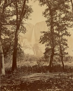 [A Yosemite-vízesések alulról] alkotó: Carleton Watkins
