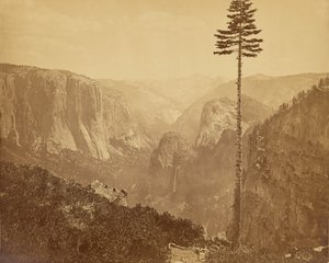 A Yosemite-völgy a Mariposa ösvényről alkotó: Carleton Watkins