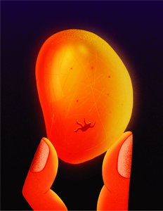  alkotó: Carlo Alberto Giardina