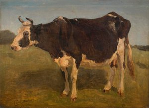 Fekete-fehér tehén áll. Tanulmány. alkotó: Carlo Dalgas