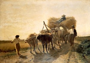 Betakarítás, Carlo Pittara (1836-1890)