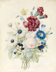 Virágpermet, beleértve egy rózsát, egy kék konvoluszt és árvácskákat, 1830 (wc és testszín papíron)