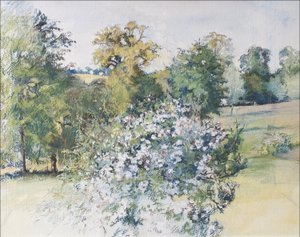 Június az ablakunkból, 2007 (pasztell és wc papíron) alkotó: Caroline Hervey Bathurst