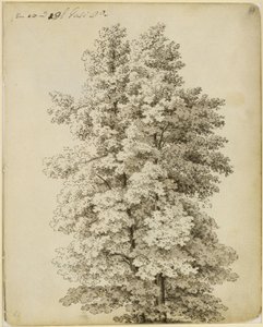  alkotó: Caspar David Friedrich