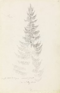 Spruce alkotó: Caspar David Friedrich