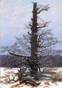 Német: Eichbaum im Schnee A tölgyfa a hóban alkotó: Caspar David Friedrich
